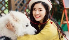 赵露思微博.万茜自爆一年潜七次,万茜自爆一年潜七次，揭秘娱乐圈幕后真相